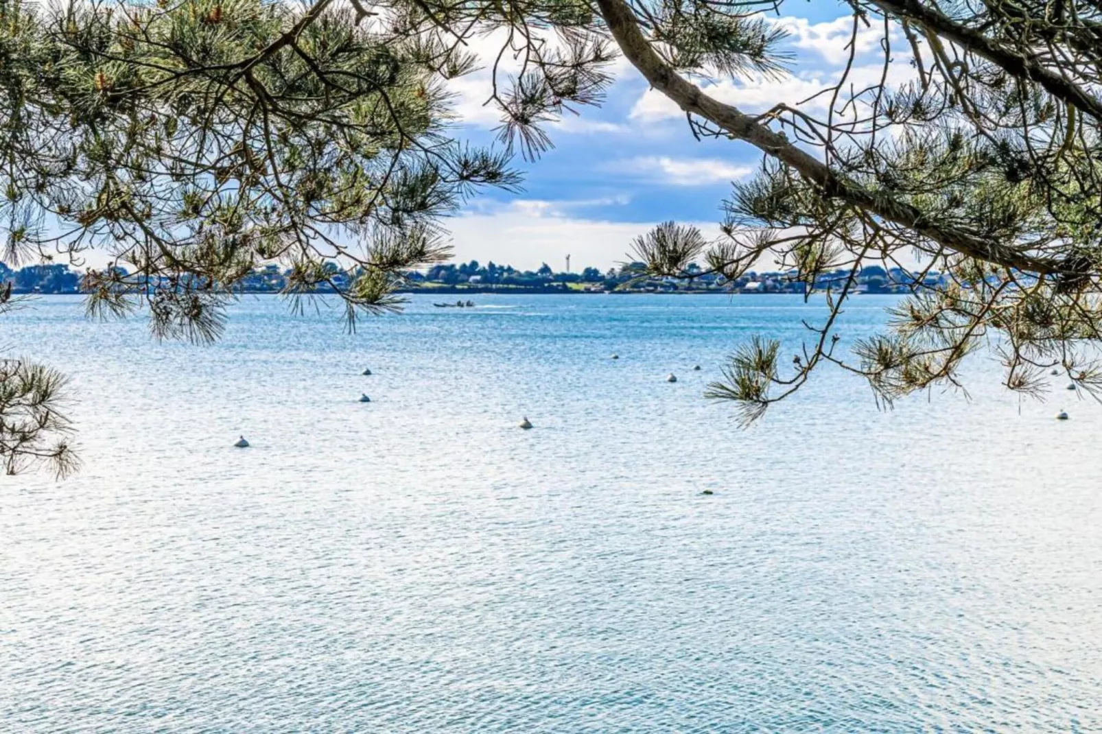 Les Iles du Morbihan 1-Areas within 5km in summer