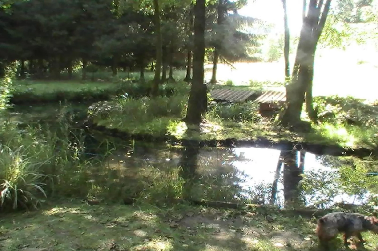 Chalet - HOMMERT-Areas within 20km in summer