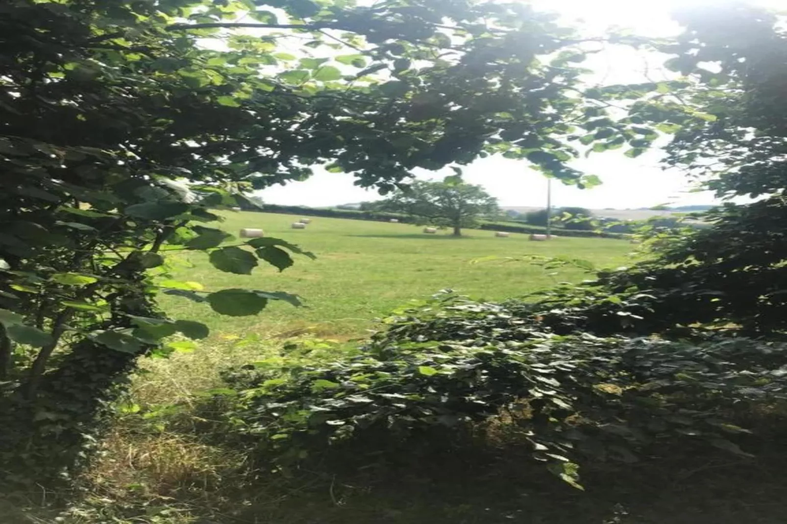 Maison Annelore-Areas within 20km in summer