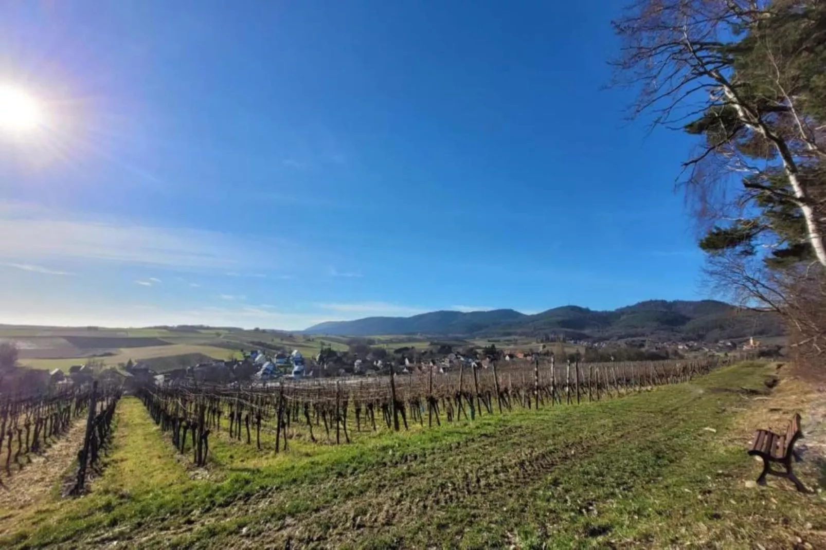 Maison de vacances - SCHLEITHAL-Zones été à 20 km