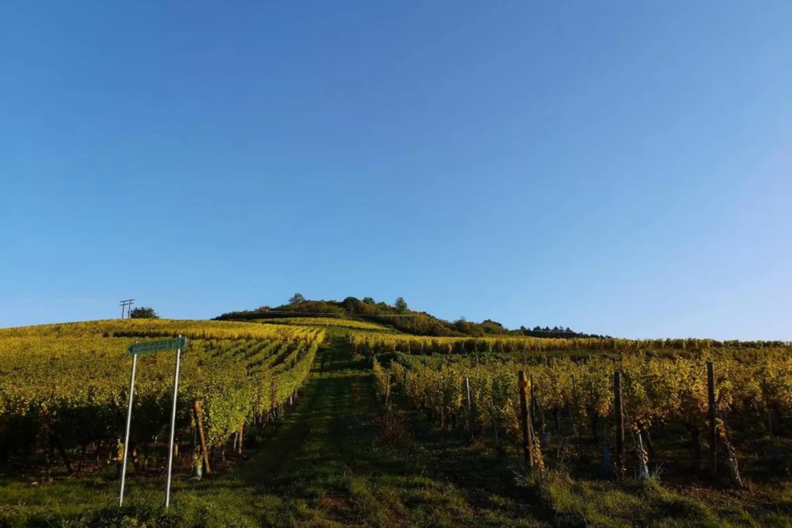 Le Domaine des Rois 3-Areas within 5km in summer