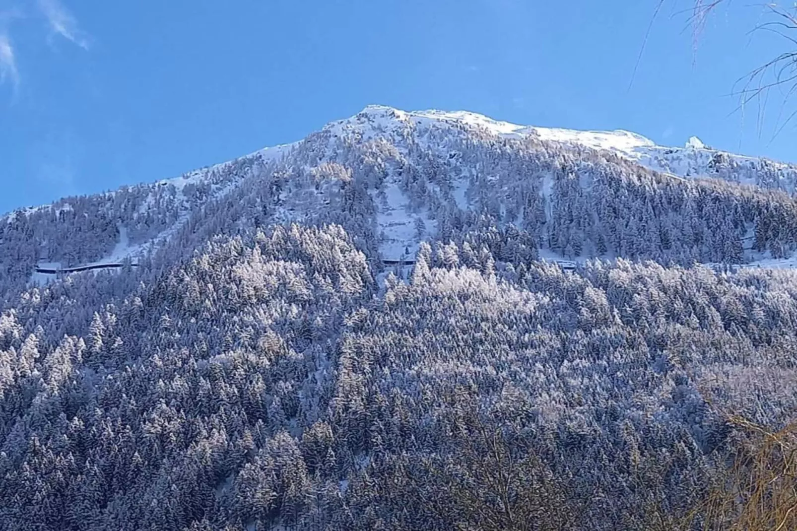 Isatis 3-Gebiet Winter 20 km