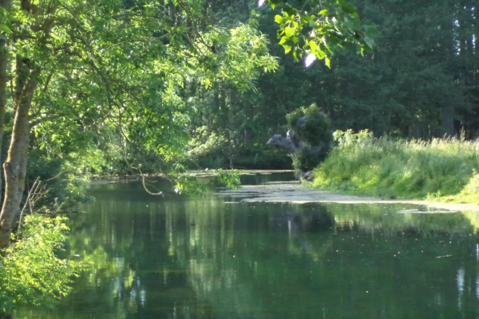 Gite des 3 Mathildes 6 pers-Areas within 20km in summer