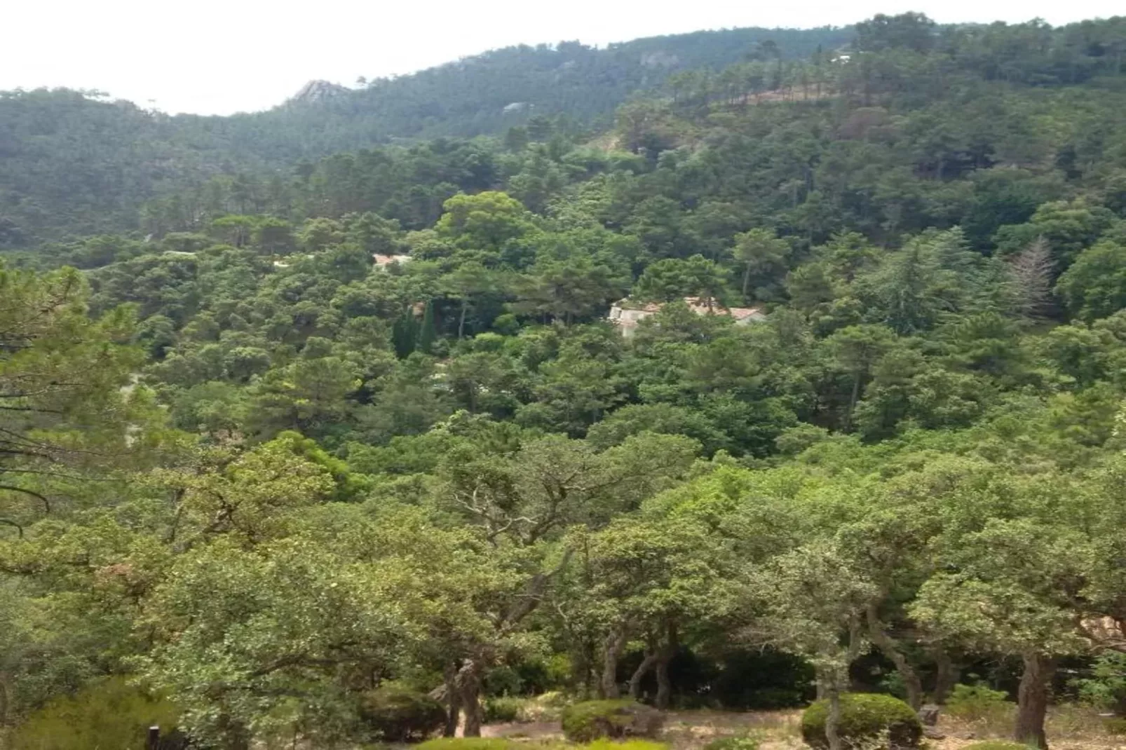 Jonila-Areas within 20km in summer