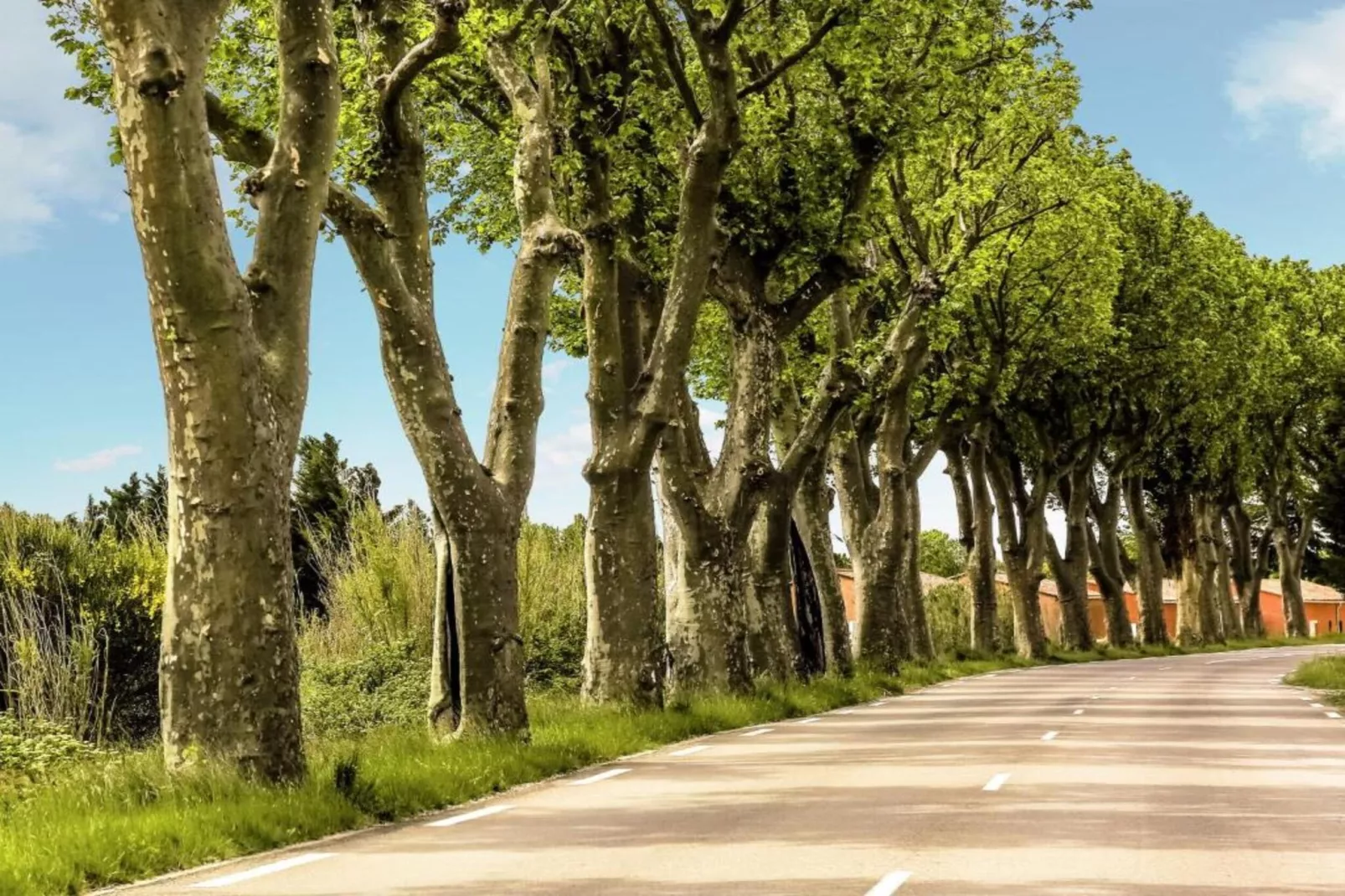 Villa Vida - Areas within 20km in summer