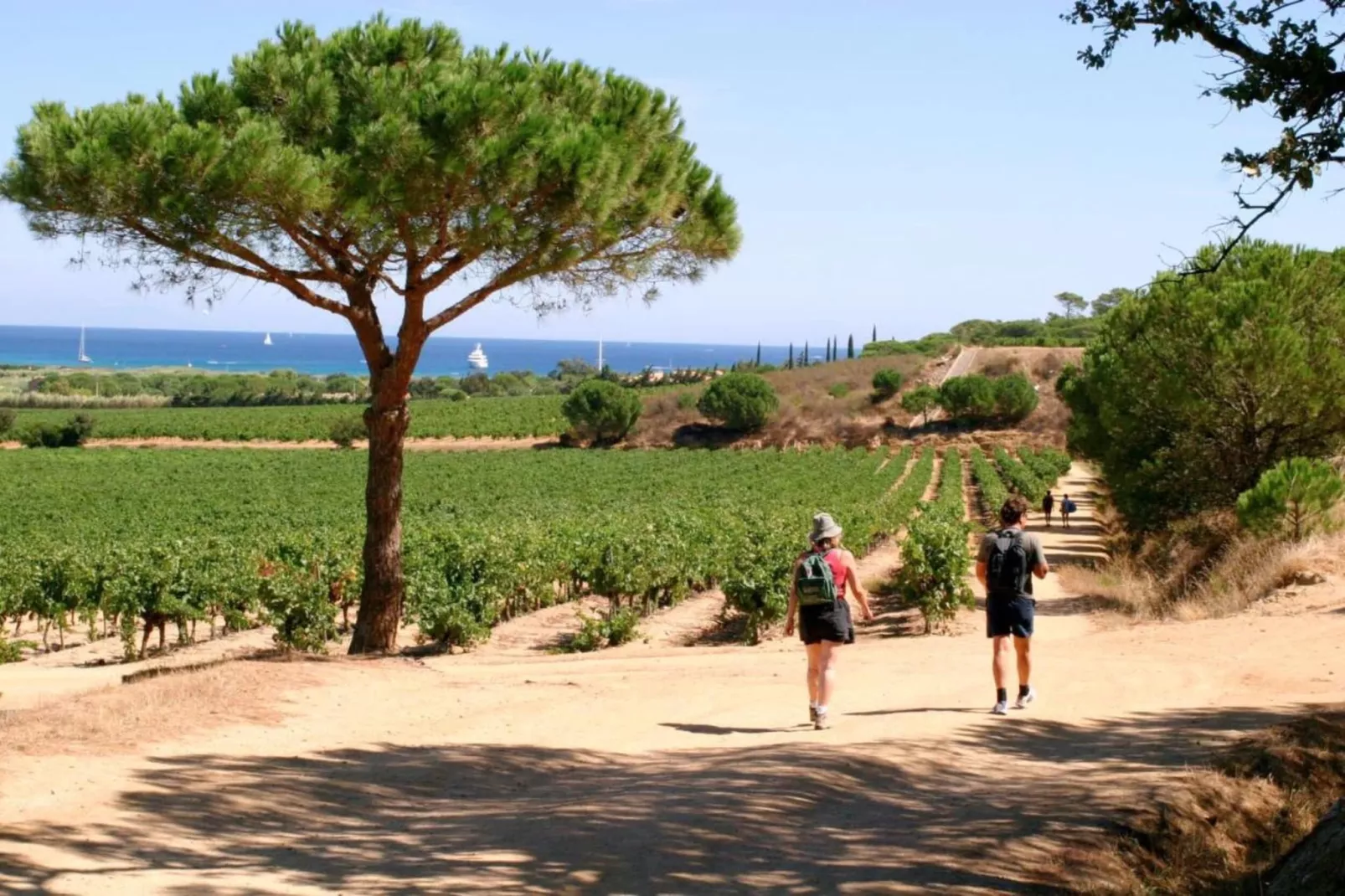Villa Saint Tropez-Areas within 5km in summer