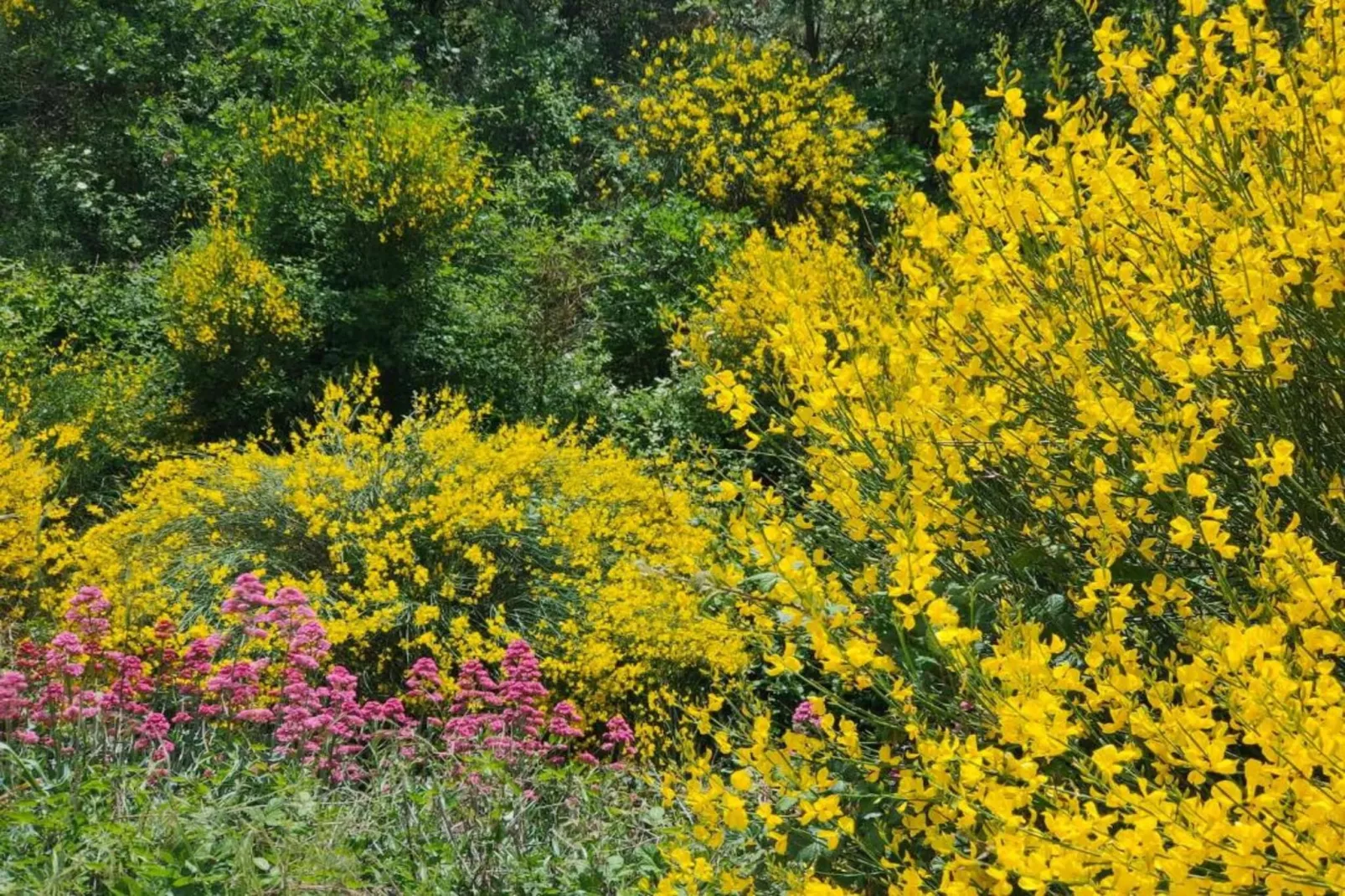 La Bastide des Chênes 2-Gebiete Sommer 20 km