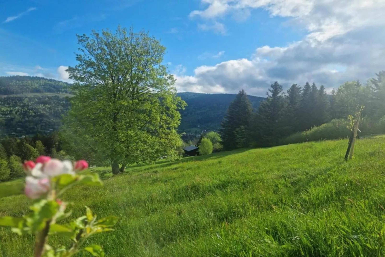 La Bergerie-Areas within 20km in summer