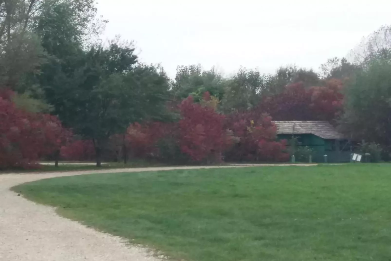 Silvano 2-Areas within 20km in summer