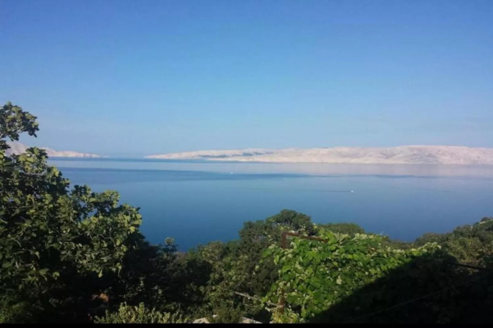 Apartment Biondic 2-Areas within 1km in summer
