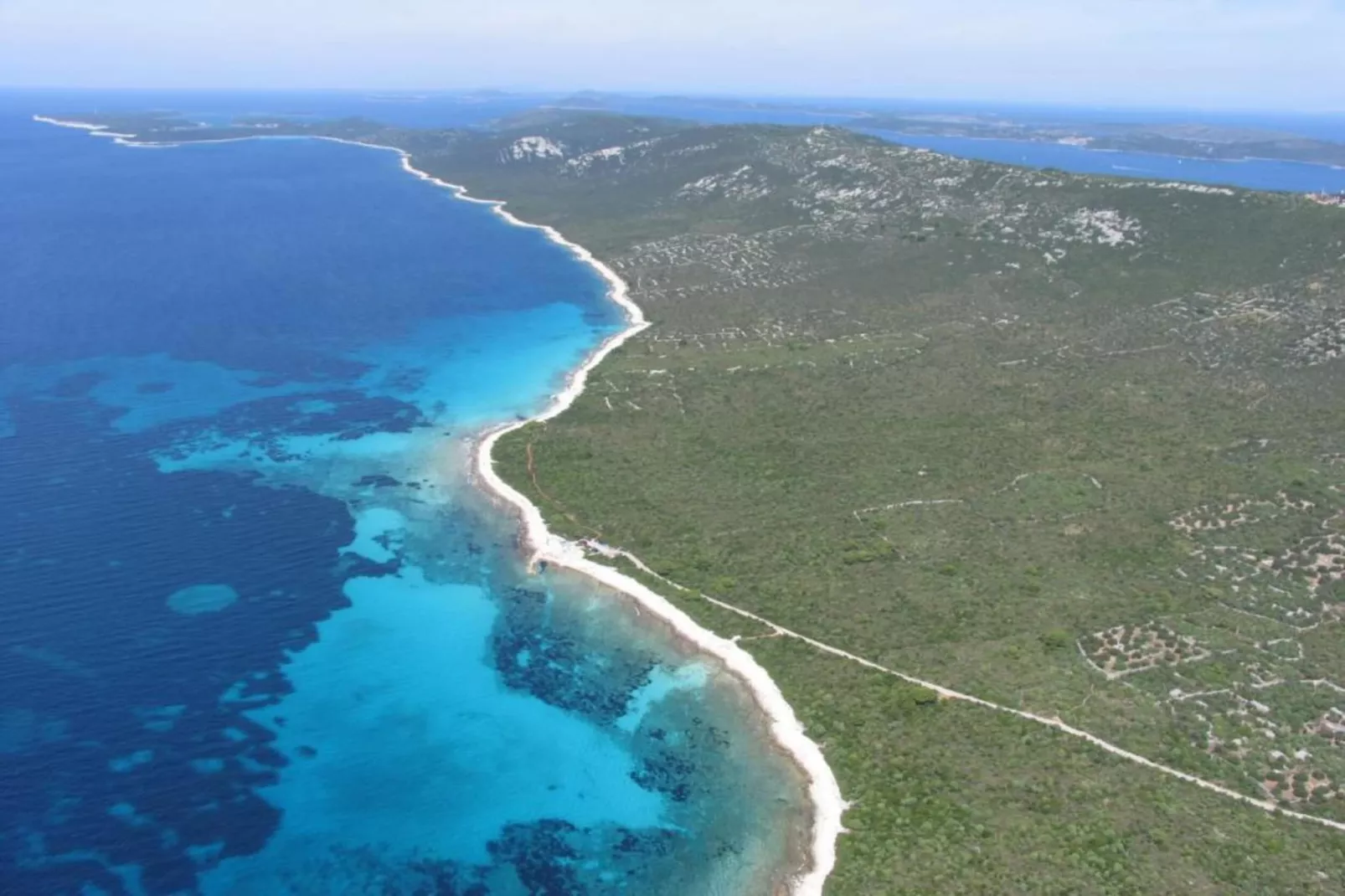 Gorgonia S2-Areas within 1km in summer