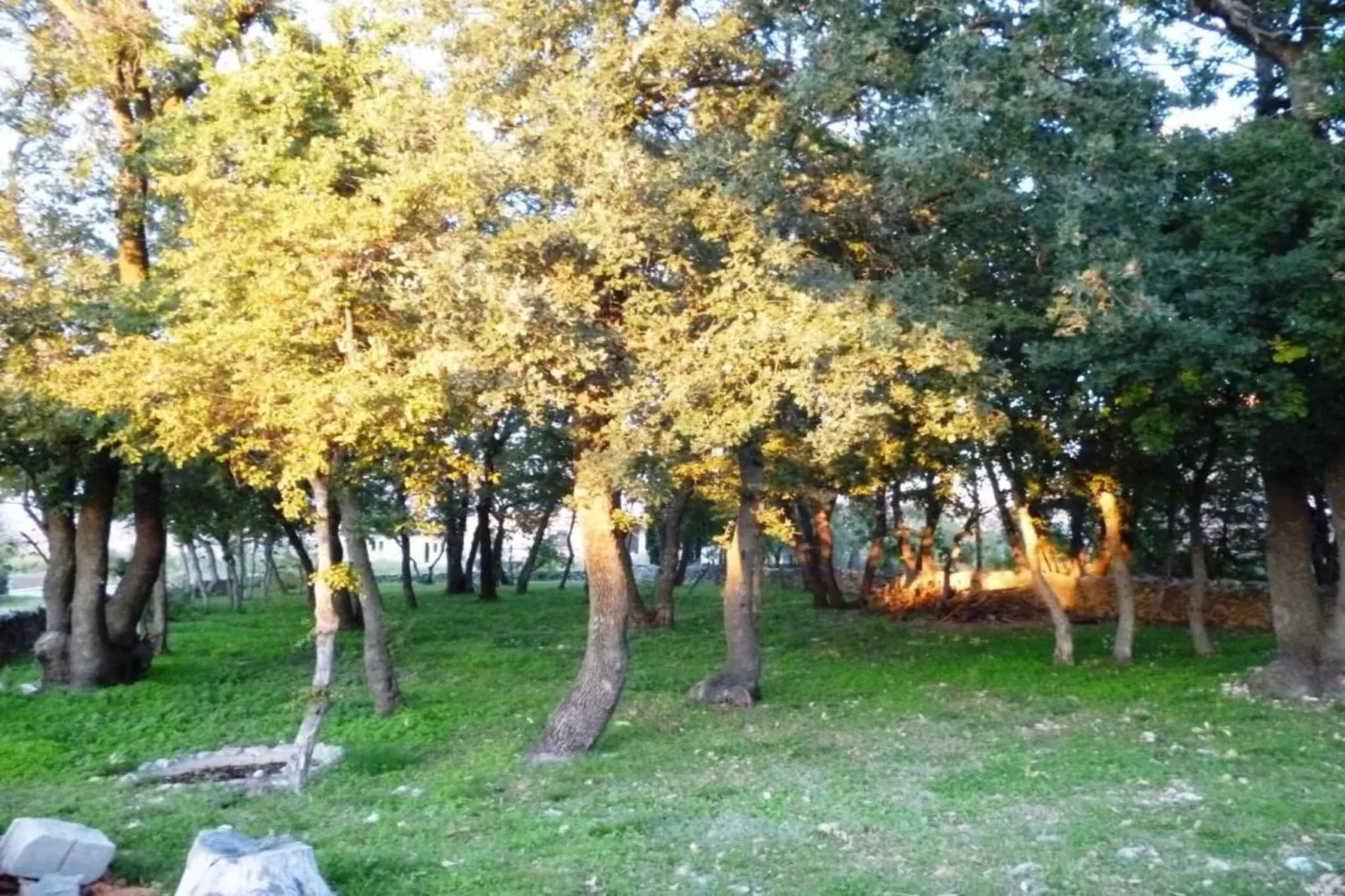 Villa Miki-Areas within 20km in summer