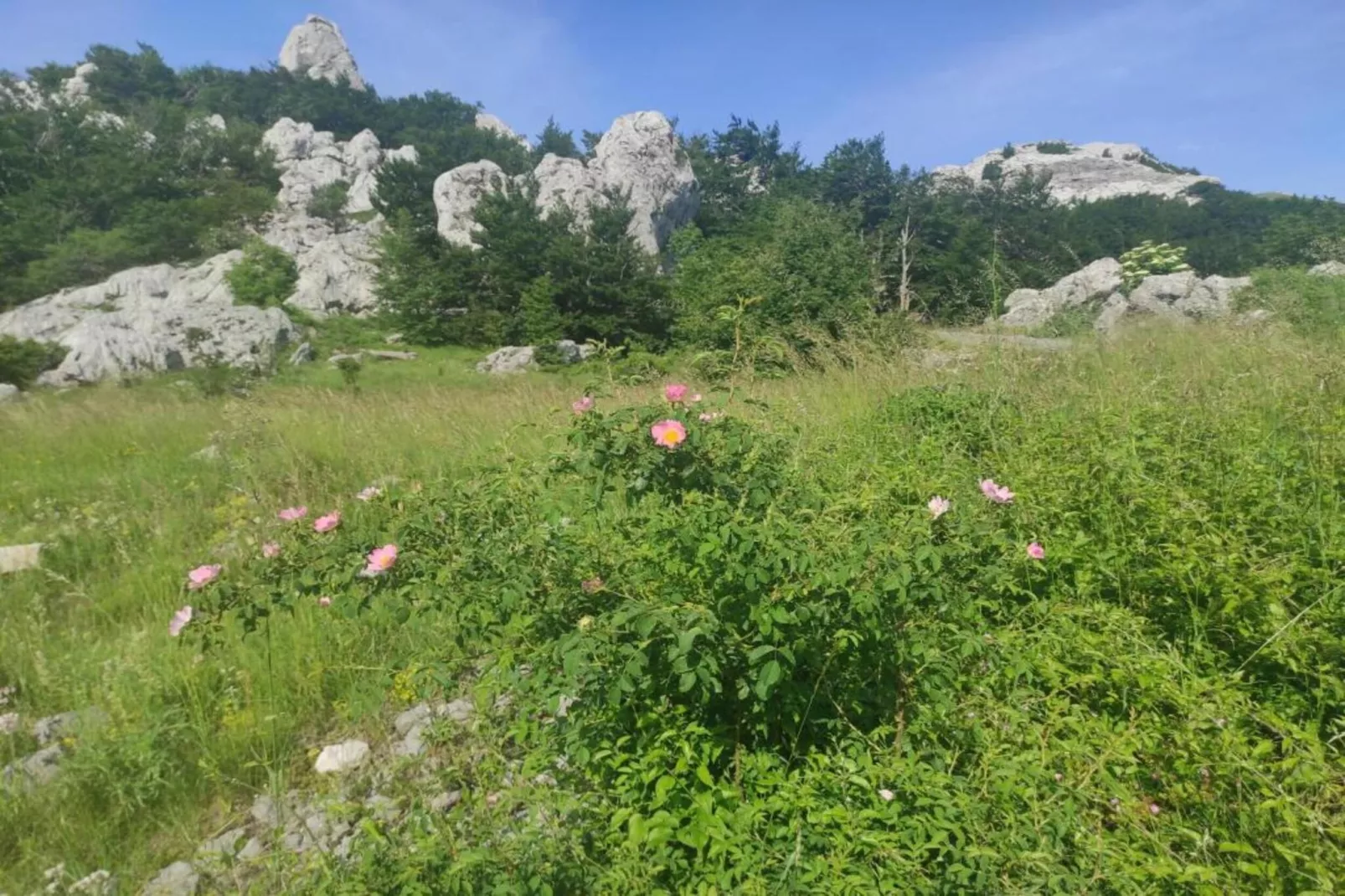 Holiday house Lovinac-Gebiete Sommer 5 km
