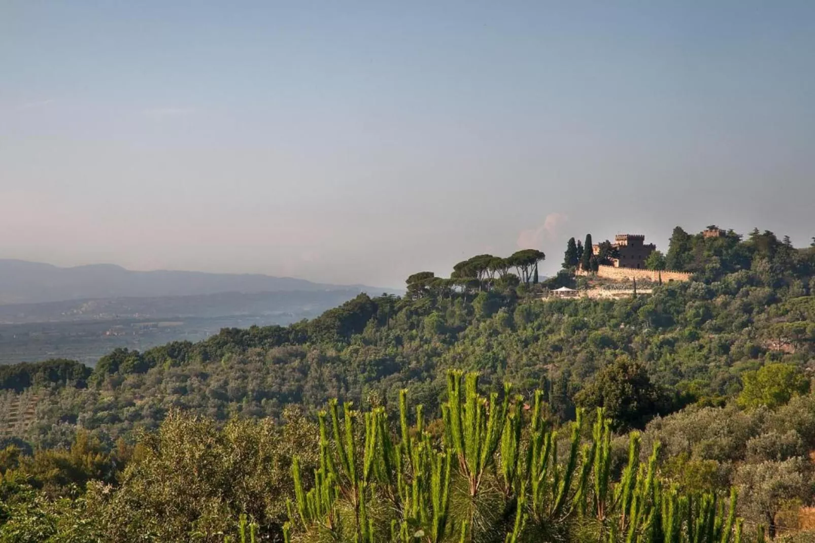 Pineta Camelia-Areas within 20km in summer