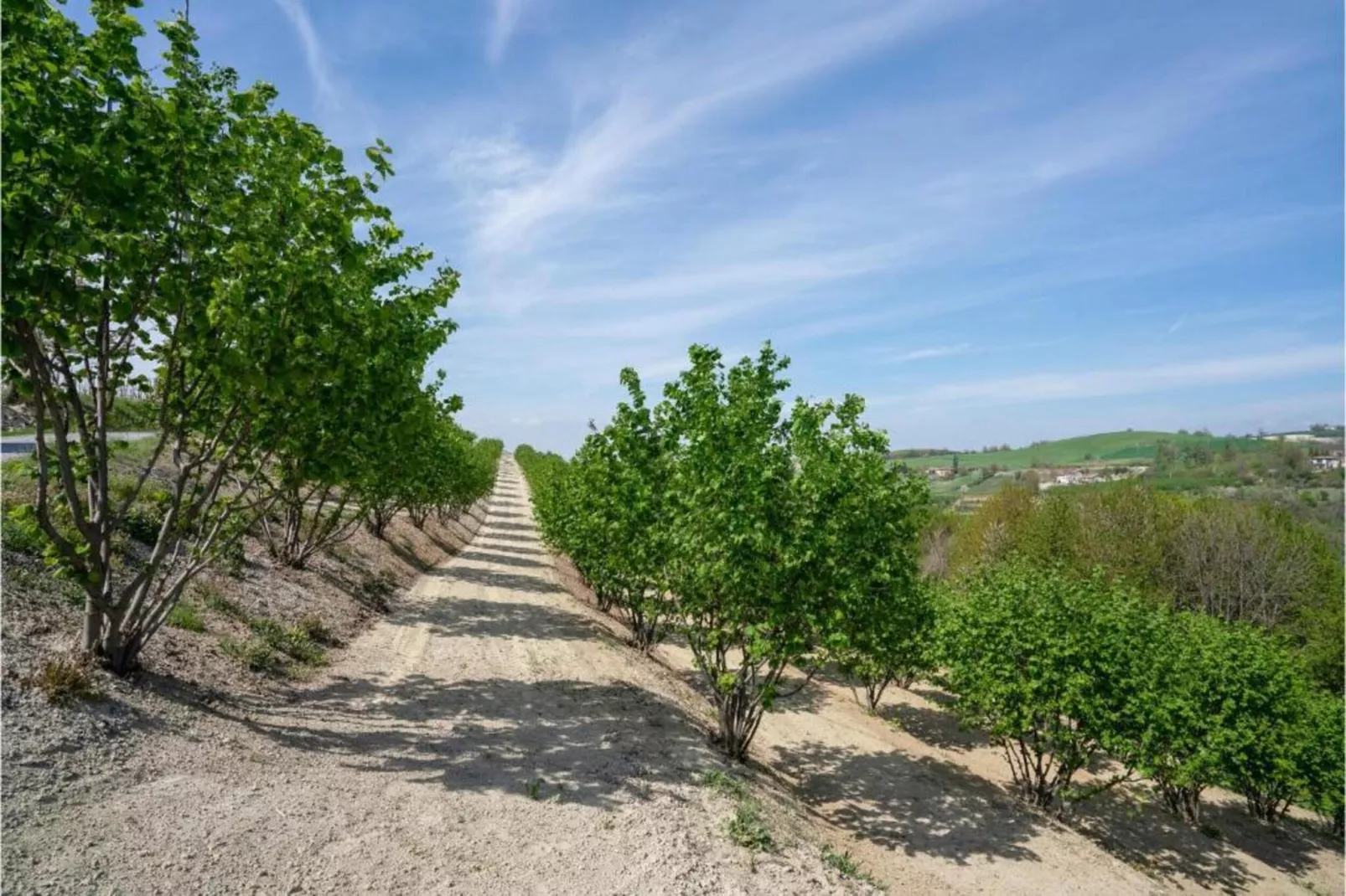 La Torre-Areas within 20km in summer