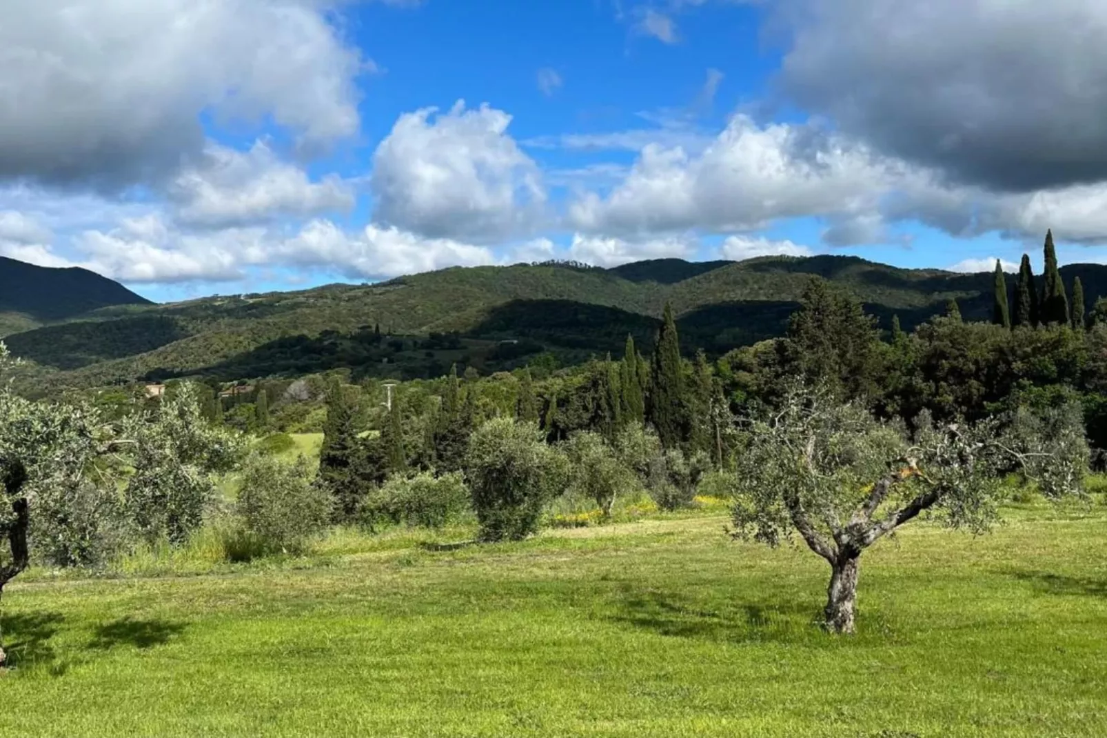 Casa Oleandri-Areas within 5km in summer