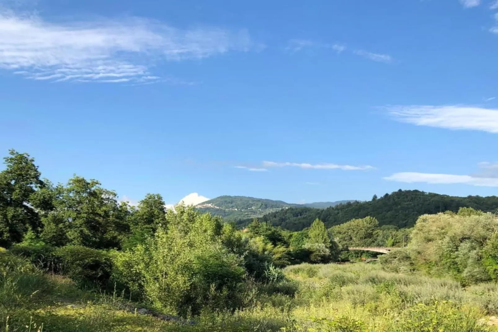 Pizzamiglio Due-Areas within 20km in summer