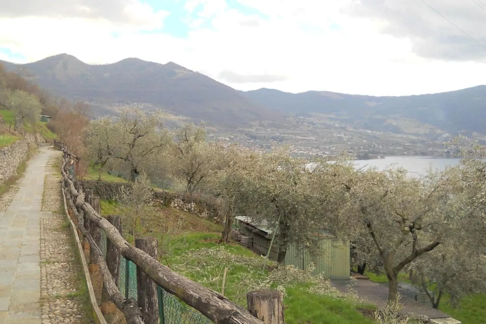 Bellavista-Areas within 20km in summer