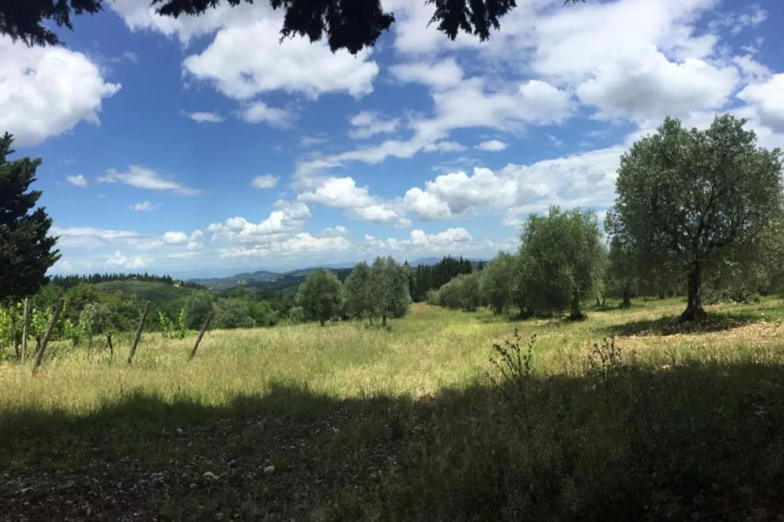 Volta-Gebiete Sommer 5 km
