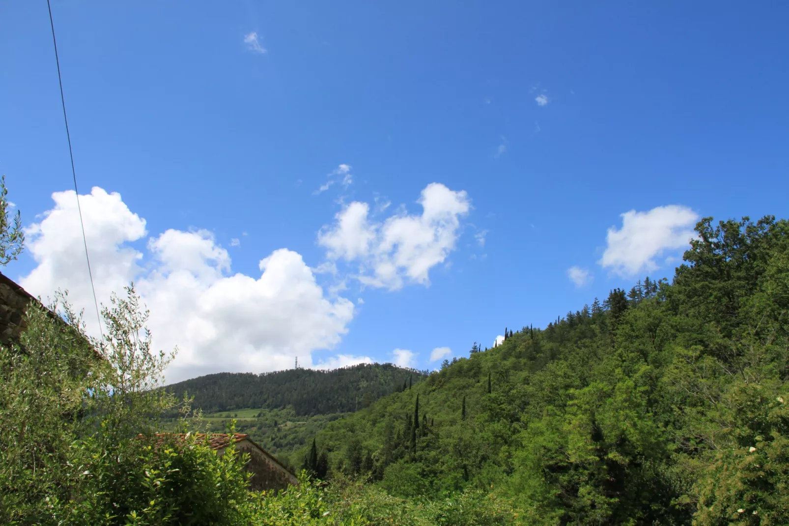 Le Olive-Vue d'été