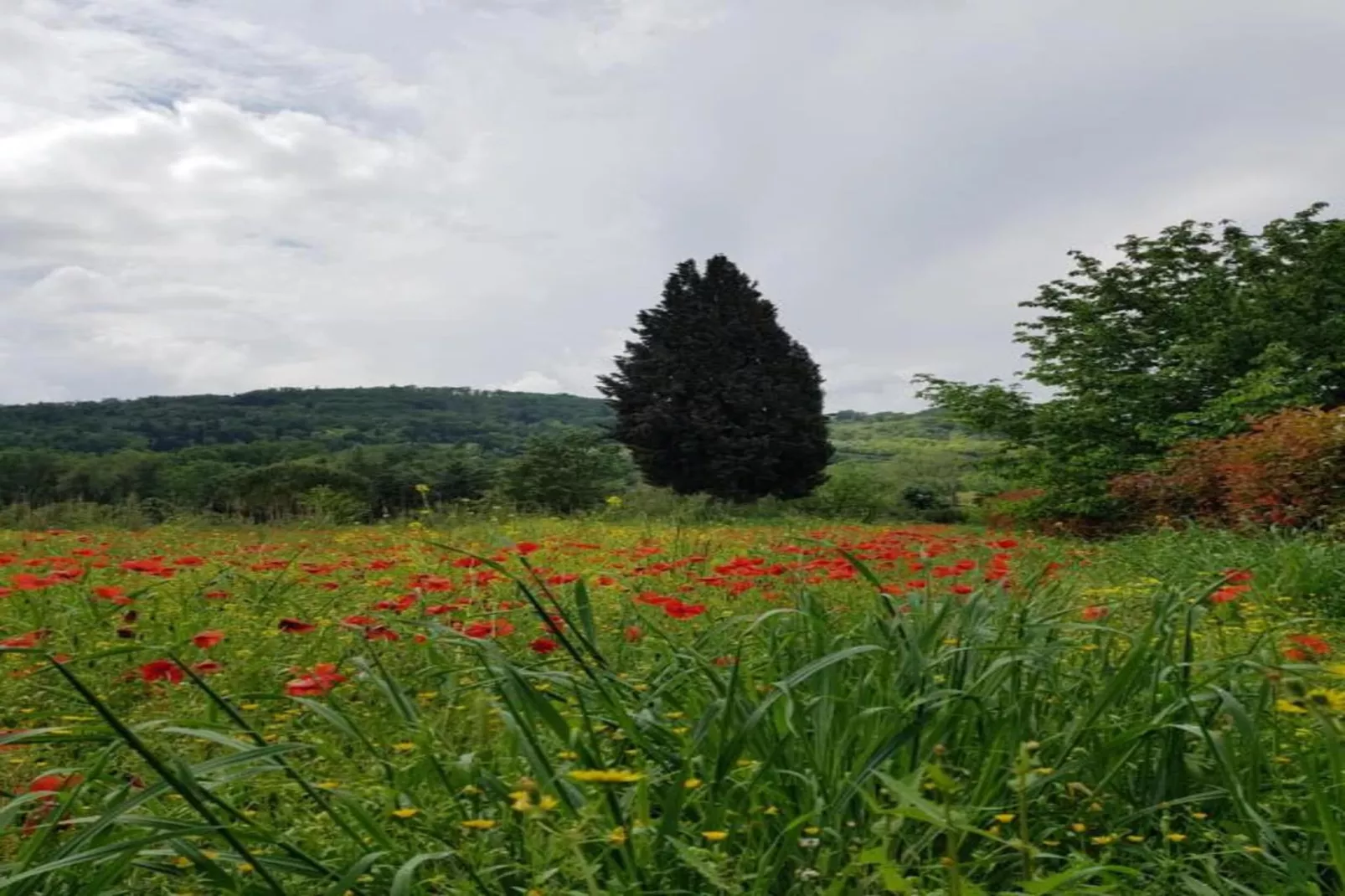 Chianti Village Morrocco T5-Areas within 5km in summer