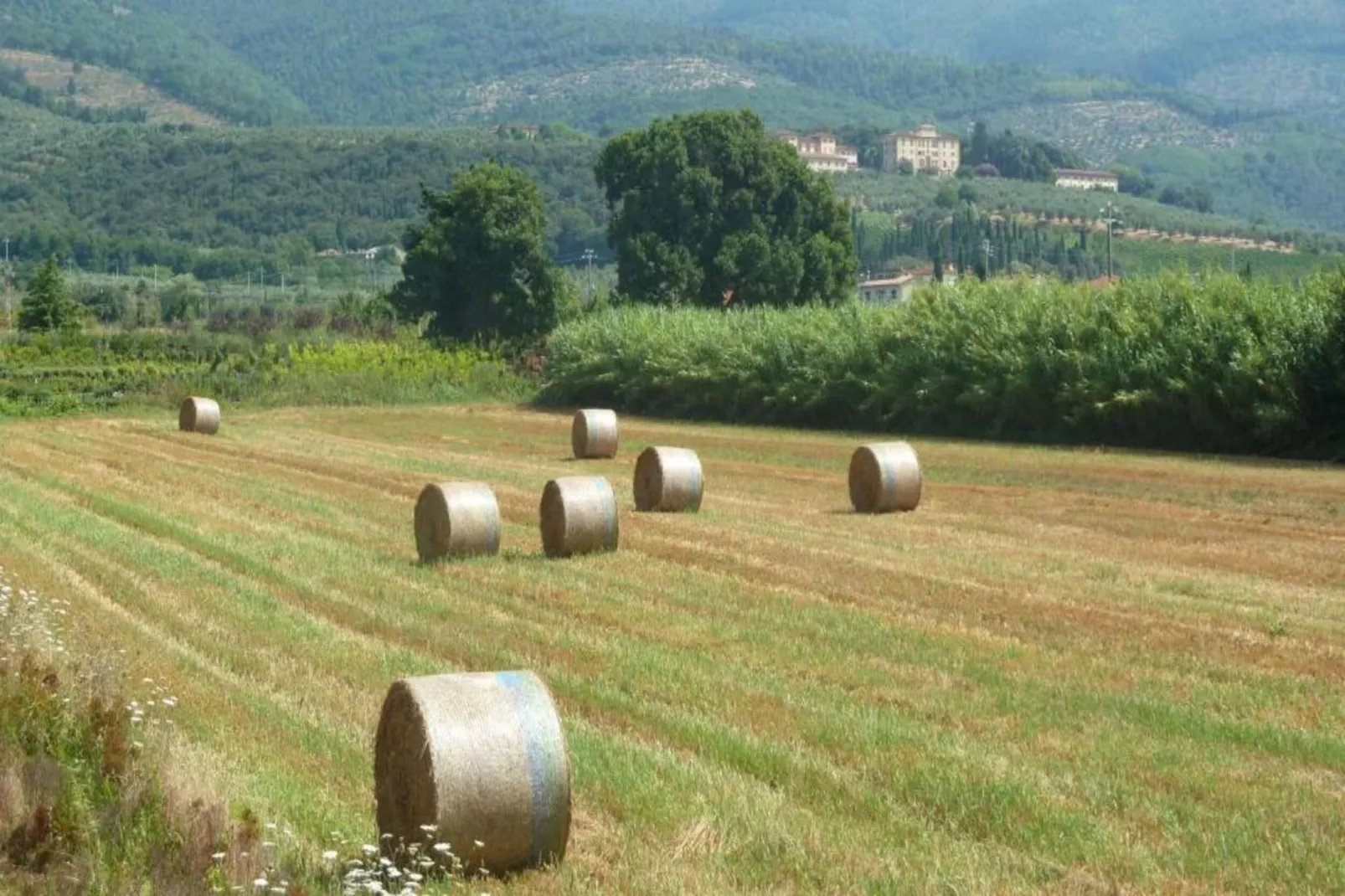 Saliceto Bilocale-Areas within 20km in summer