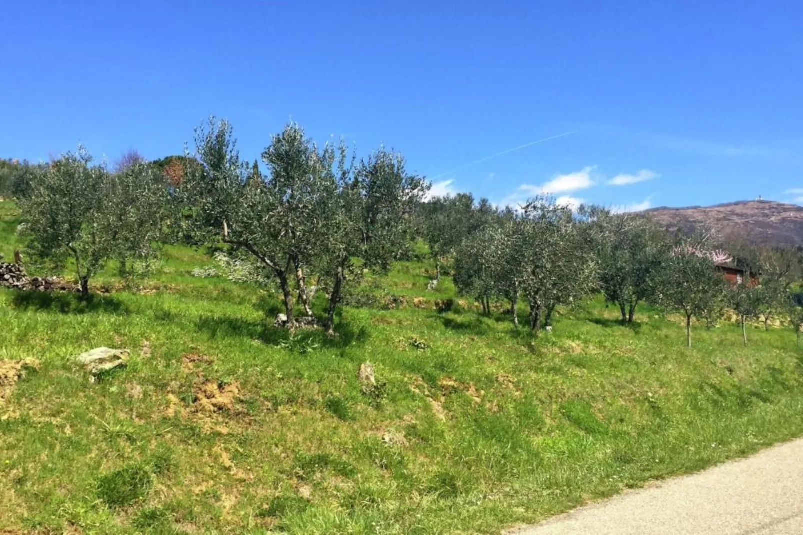 Monna Due-Areas within 20km in summer