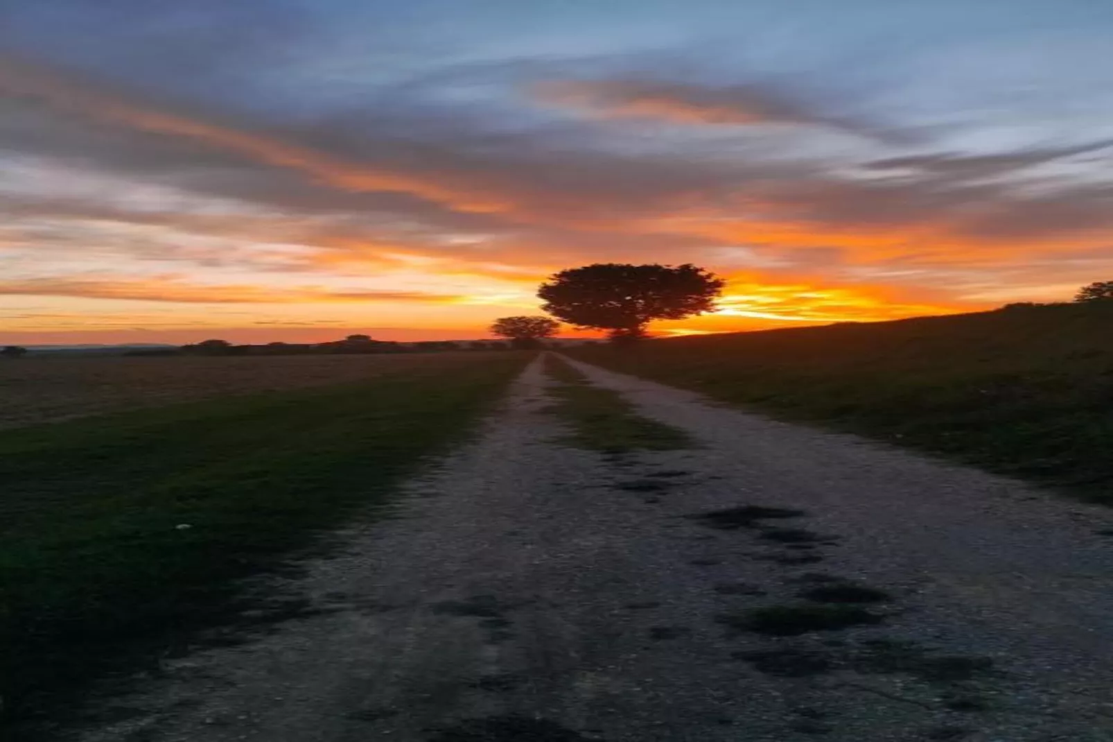 Camillo-Areas within 20km in summer
