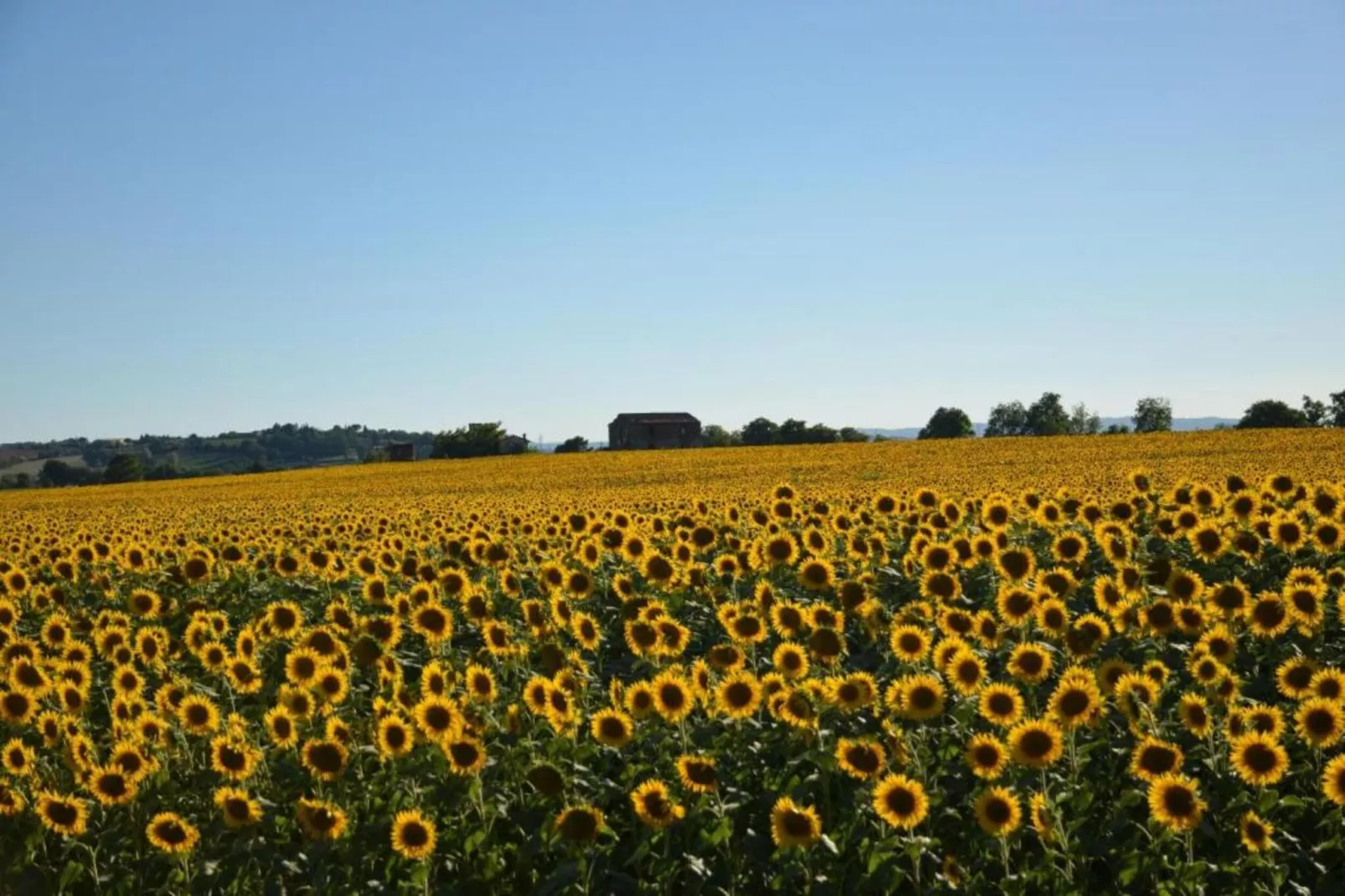 Fontocchio Diciassette-Areas within 20km in summer