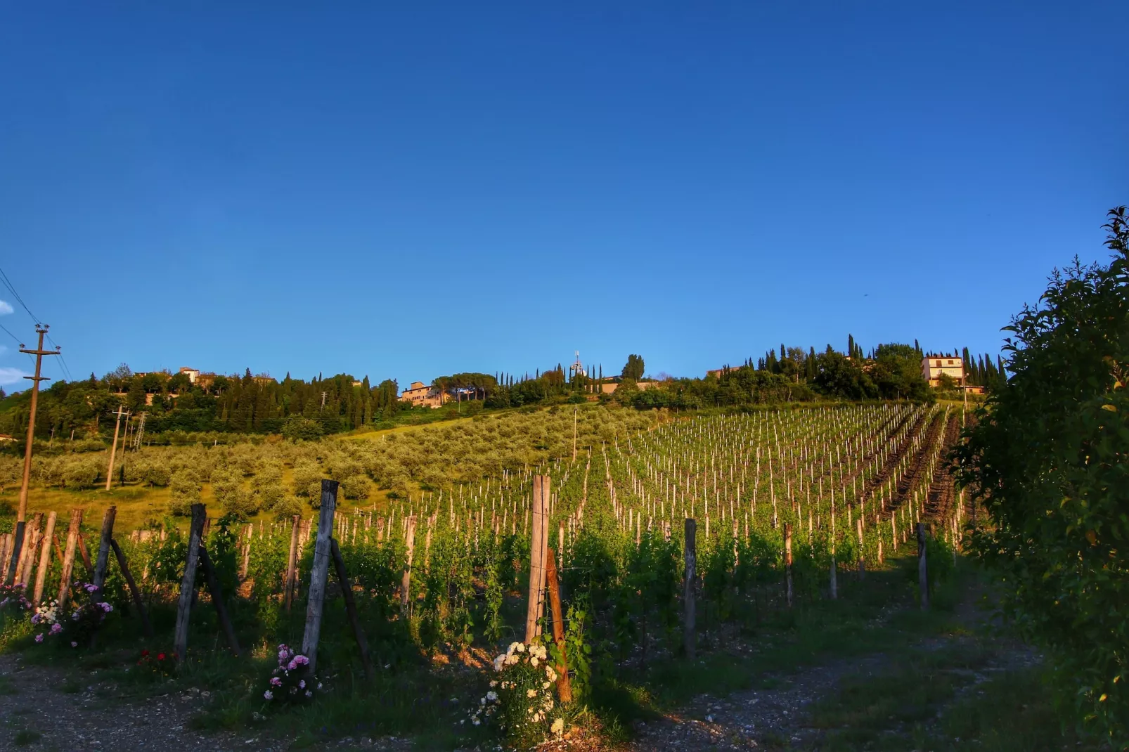 Limone-View in summer