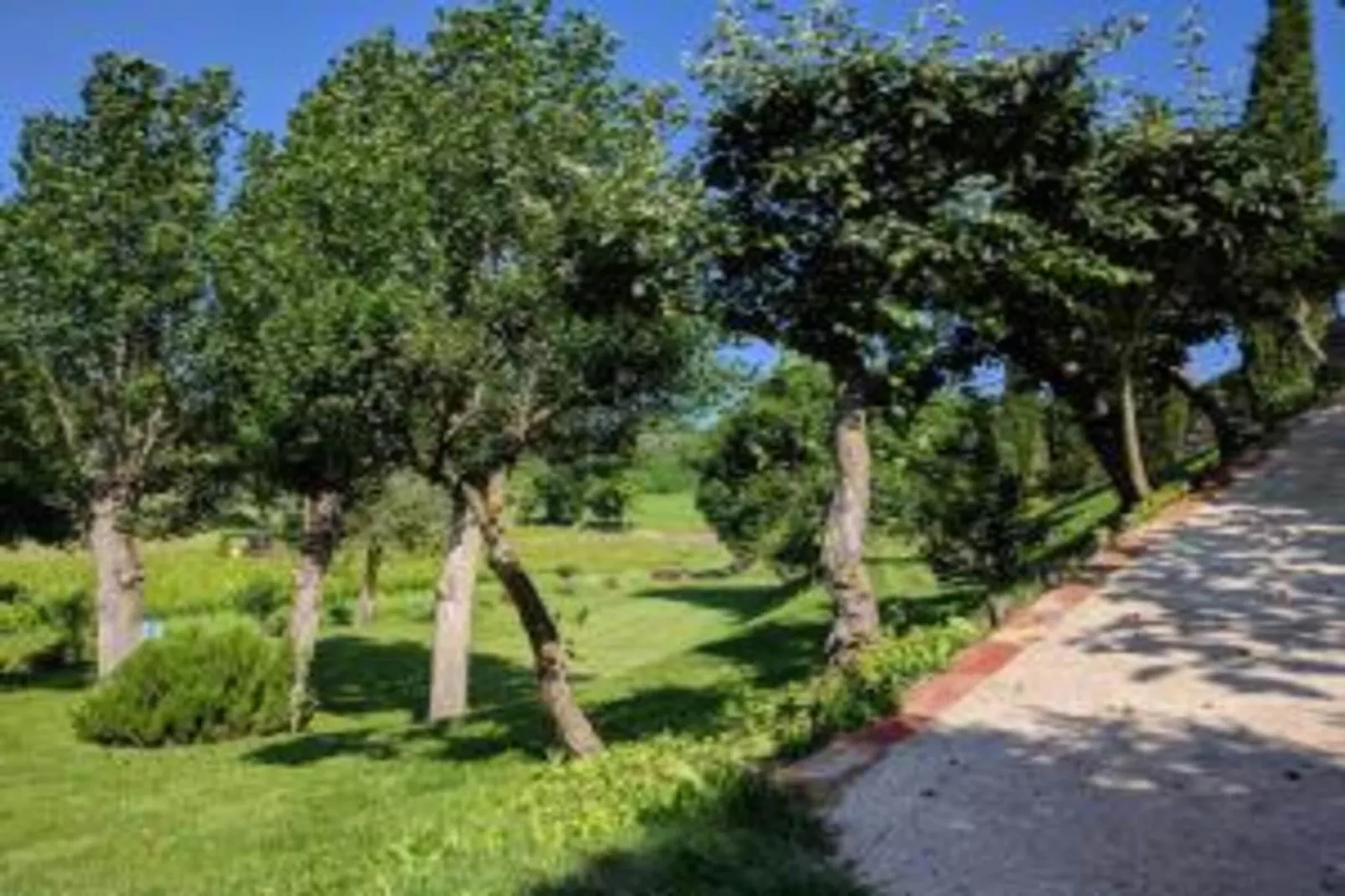 Poggio Casale-Areas within 20km in summer