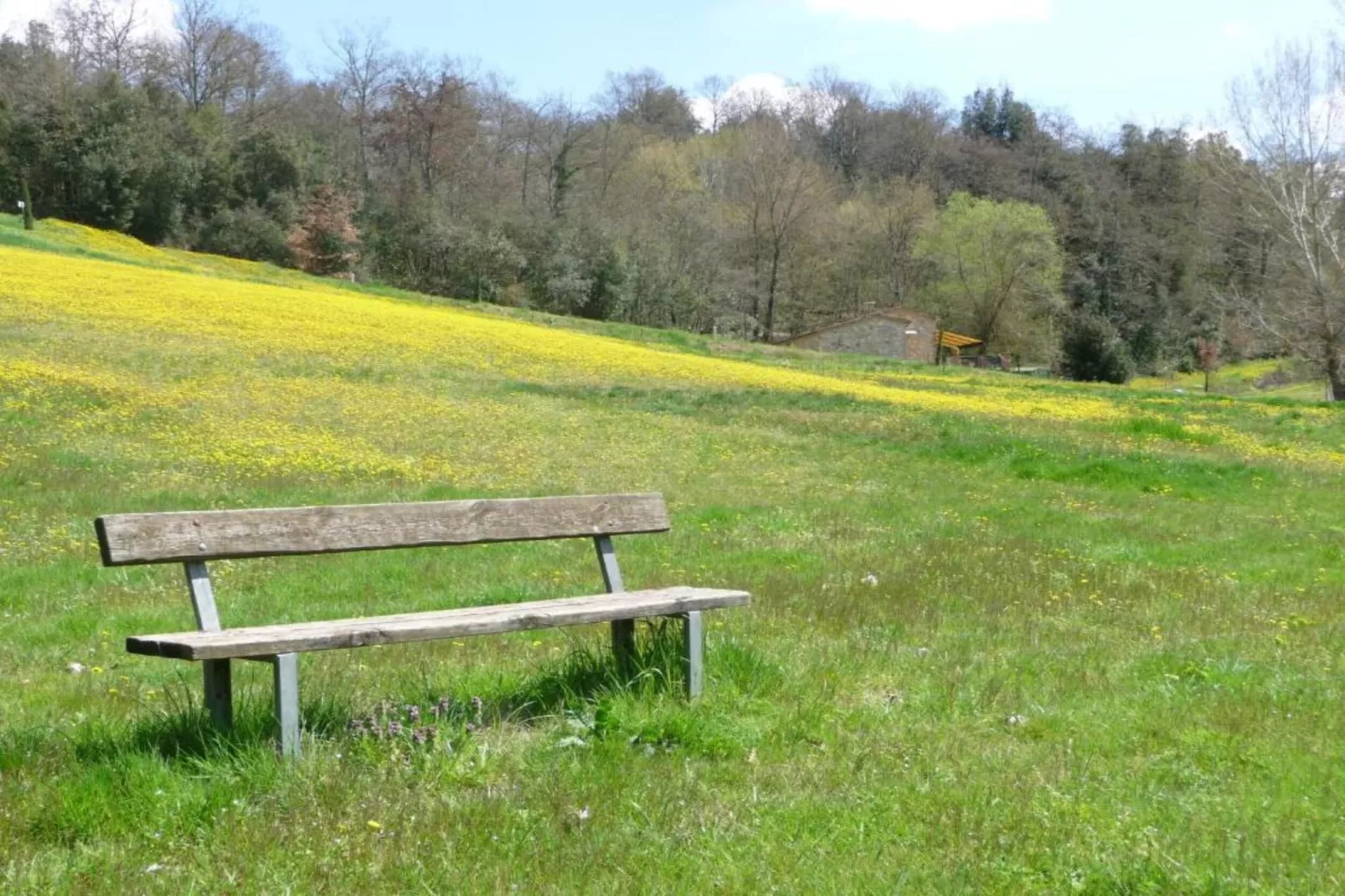 Appartamento Giotto-Areas within 20km in summer