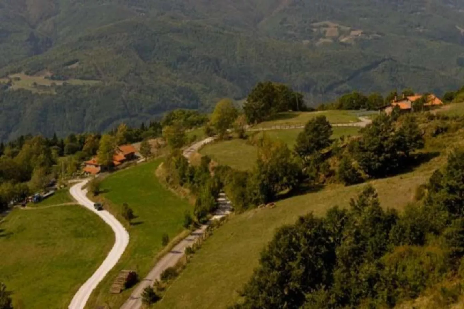 Renzo-Areas within 20km in summer