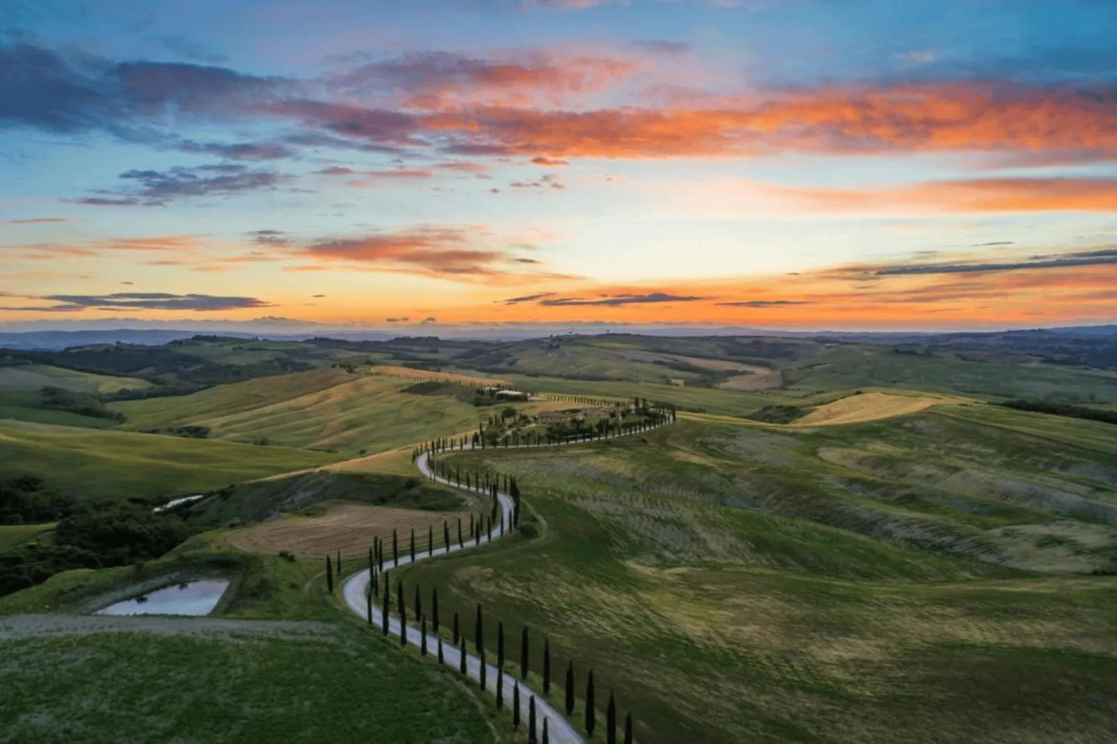 Paulonia-Areas within 20km in summer