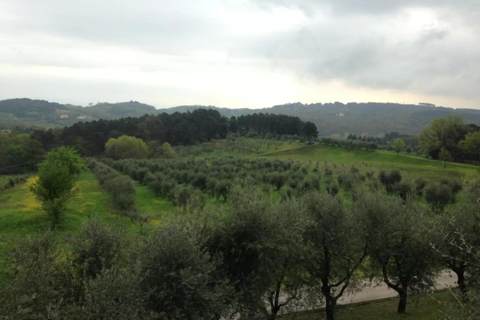 Le Mura di Lucca-Gebiete Sommer 20 km
