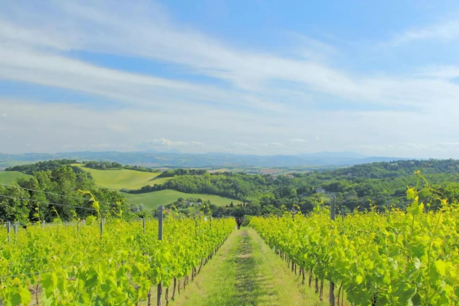 La Priora-Areas within 5km in summer
