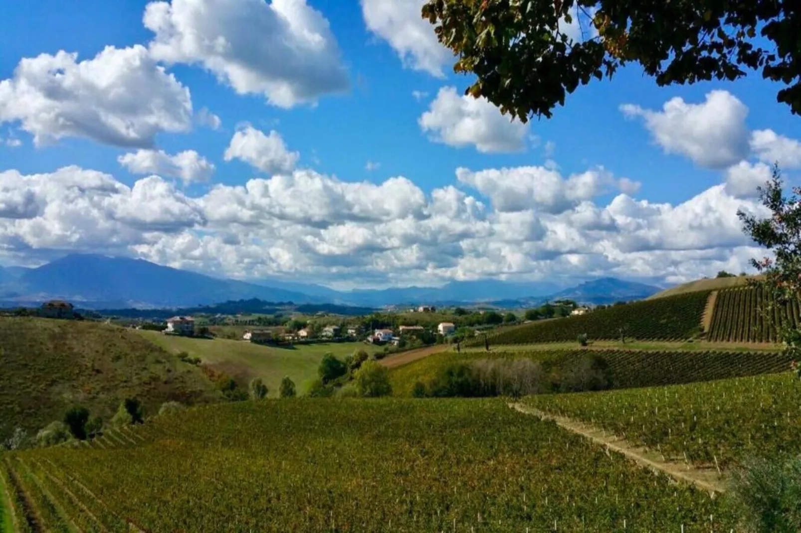 Peperoncino-Gebiete Sommer 5 km