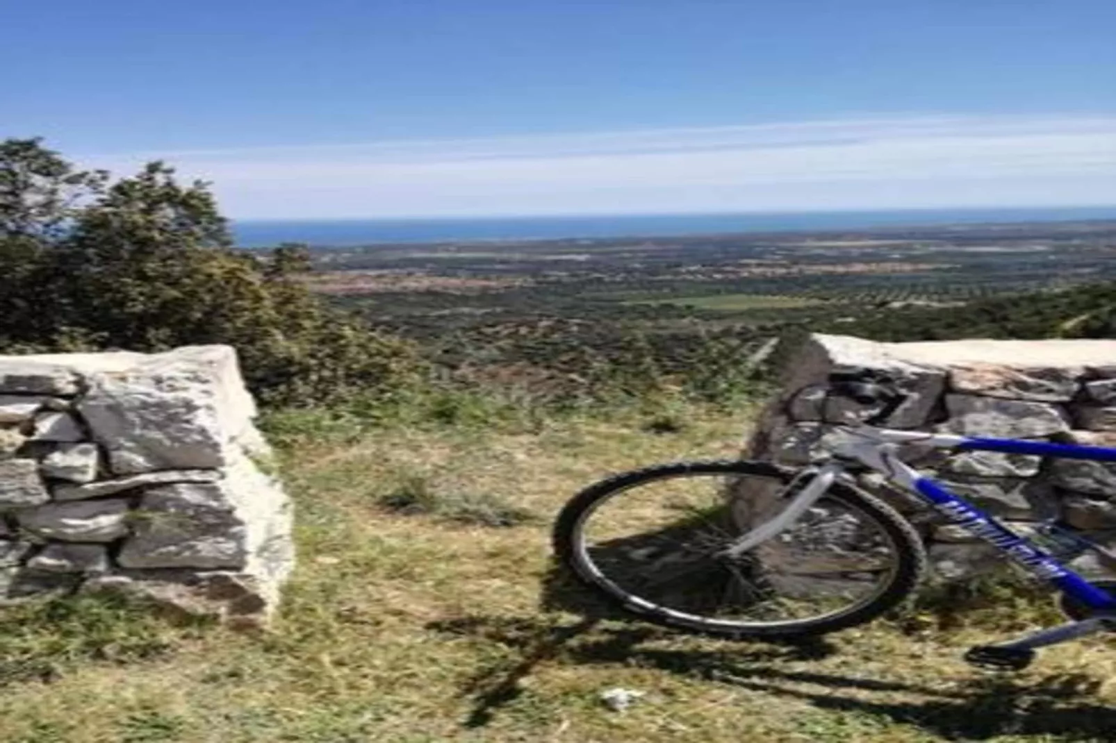 Il Tesoro-Areas within 20km in summer