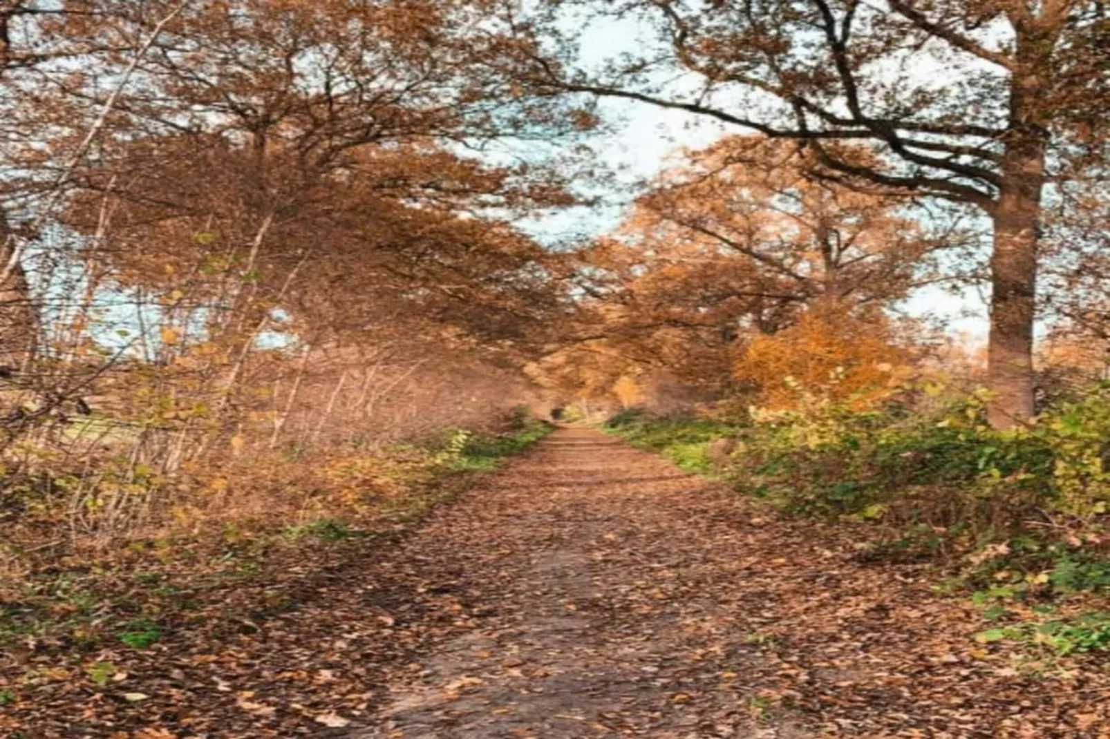 Tuinpad-Areas within 20km in summer
