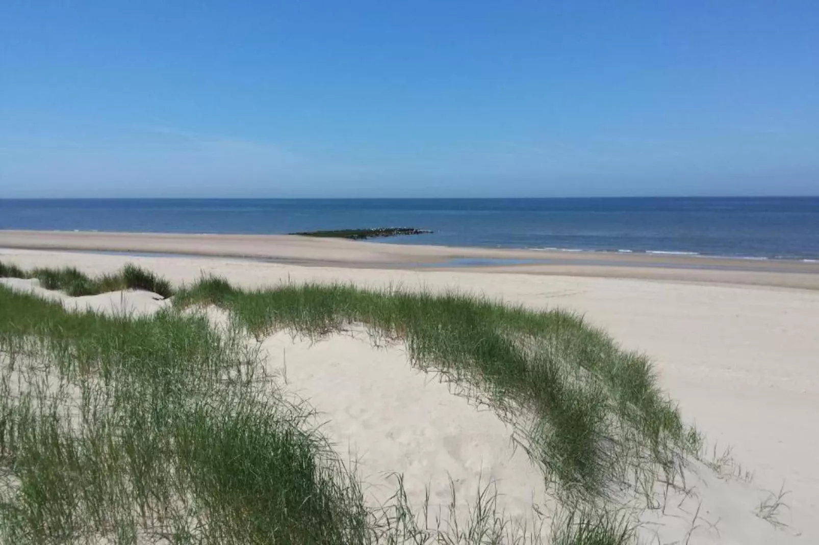 Zilte Bries-Areas within 20km in summer