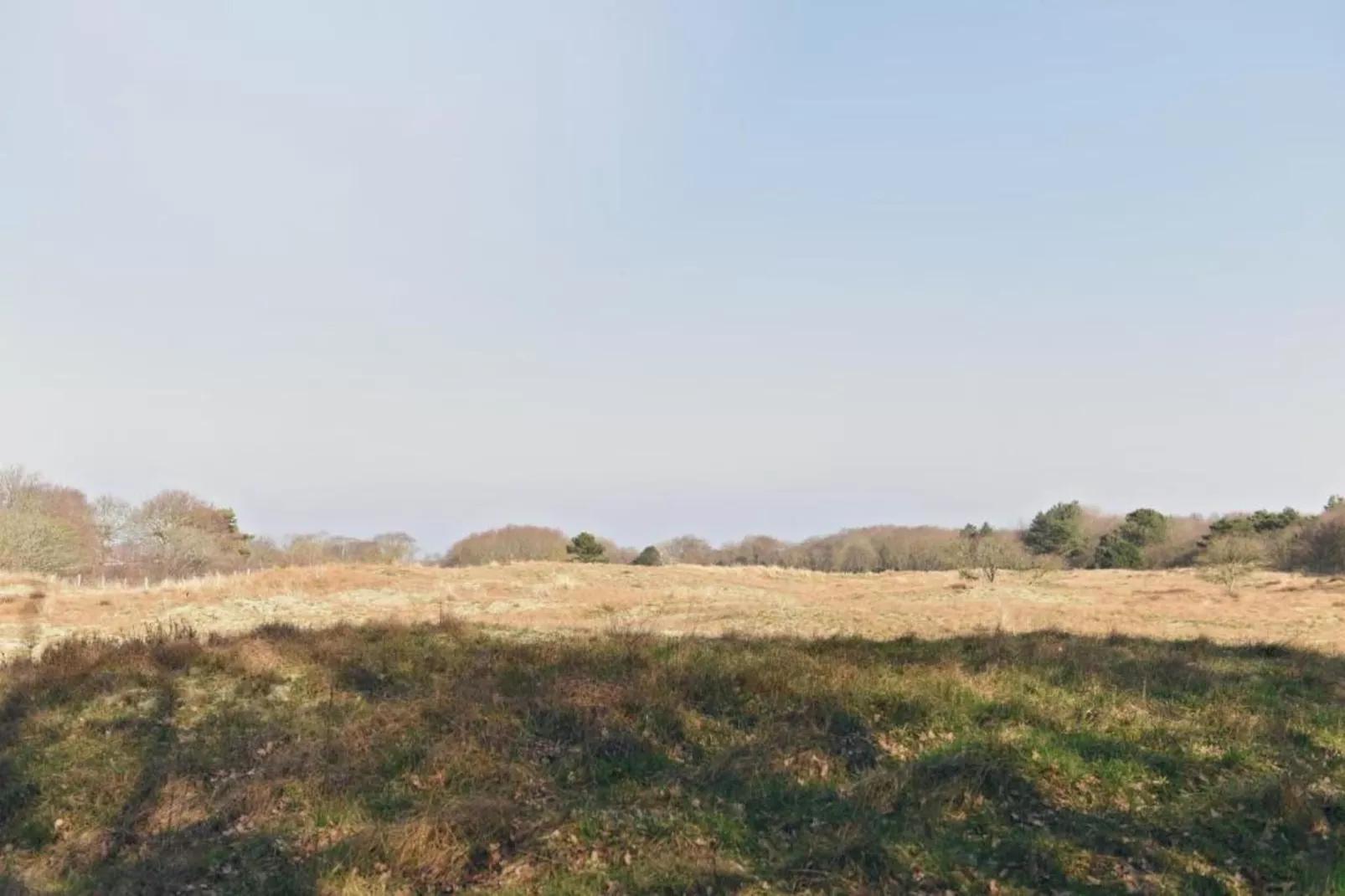 Hazenborgh - Zand-Areas within 20km in summer