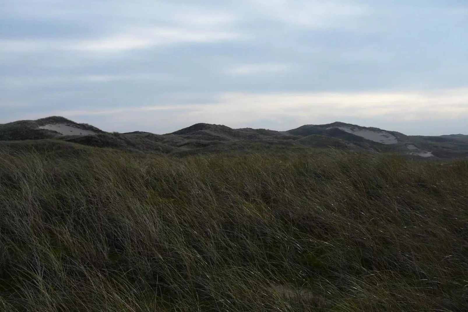 Strandslag 115-Areas within 20km in summer