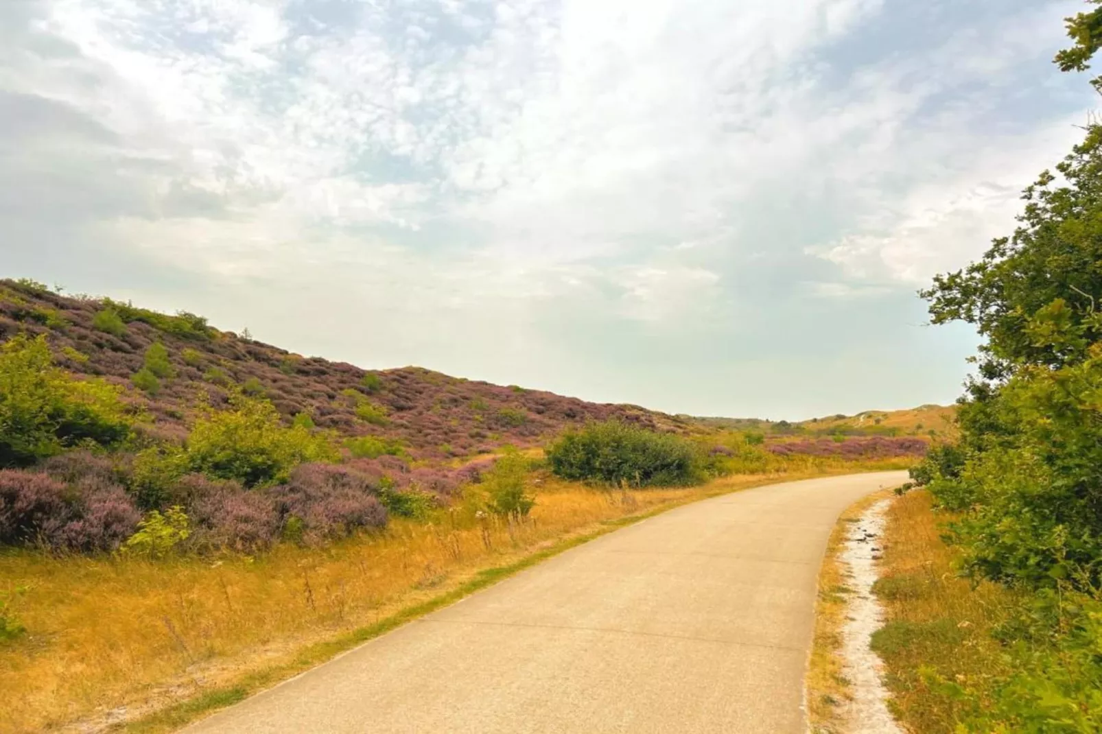 DE PETTEN-Gebiete Sommer 20 km