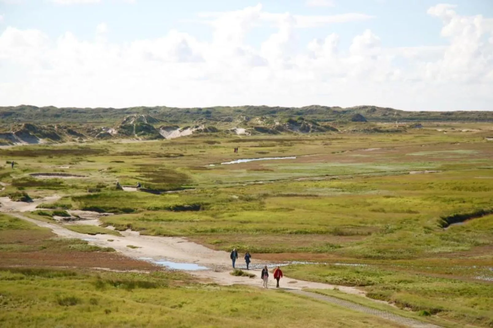 't Hoogelandt 5-Areas within 20km in summer