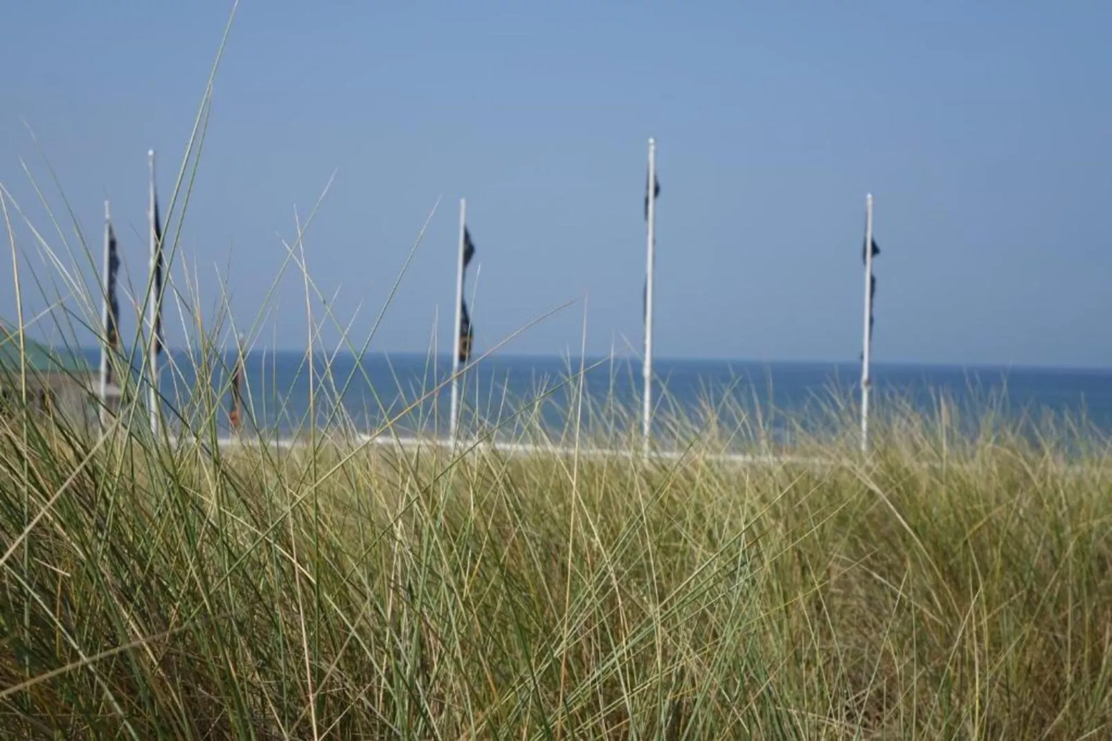 Walhalla aan Zee-Areas within 20km in summer