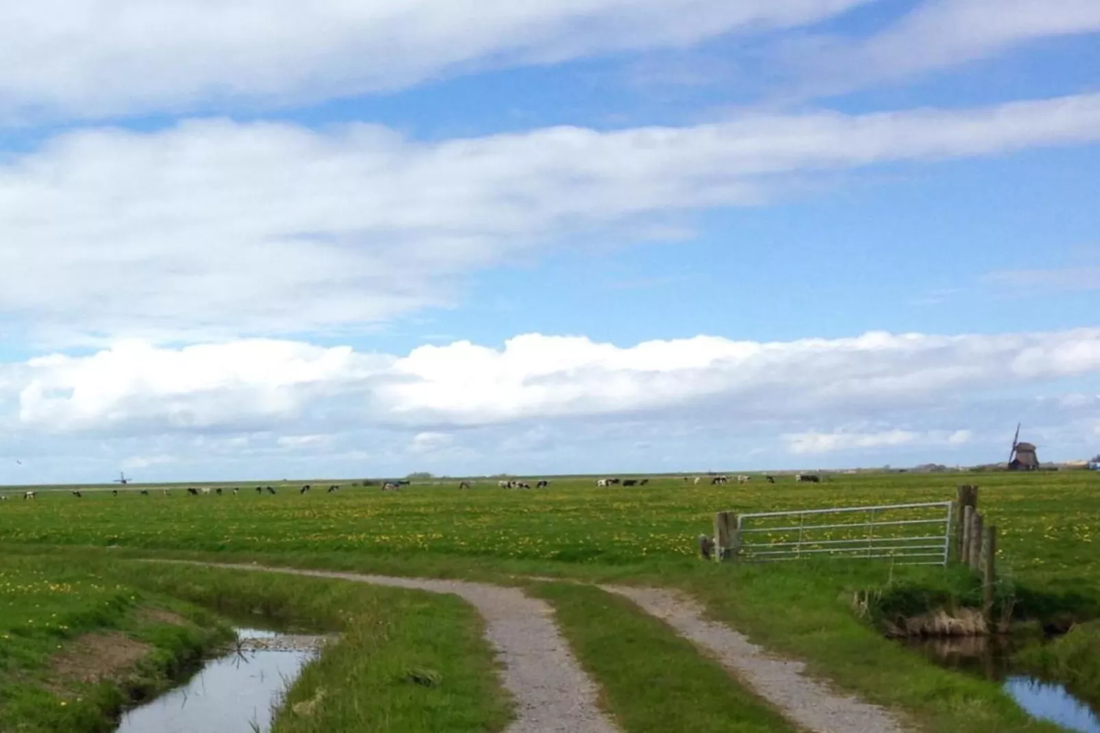 Vier Duinen-Areas within 20km in summer