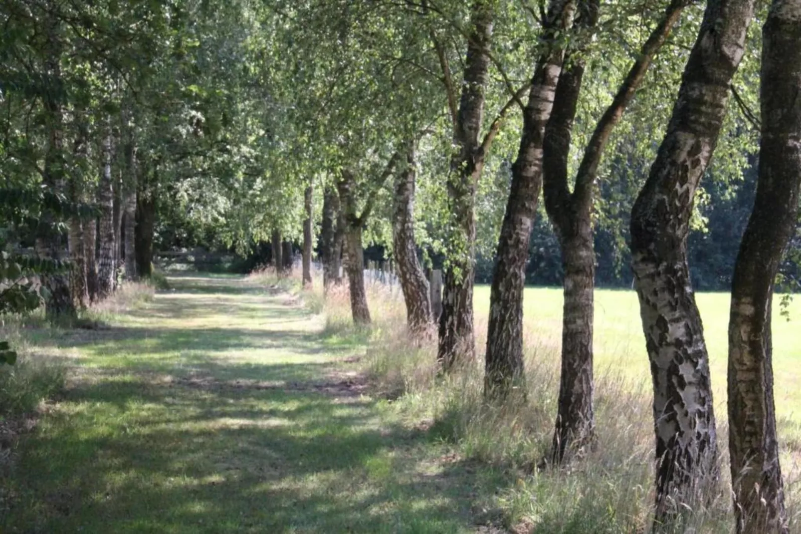 Vakantiepark de Tabaksschuur 2-Areas within 20km in summer