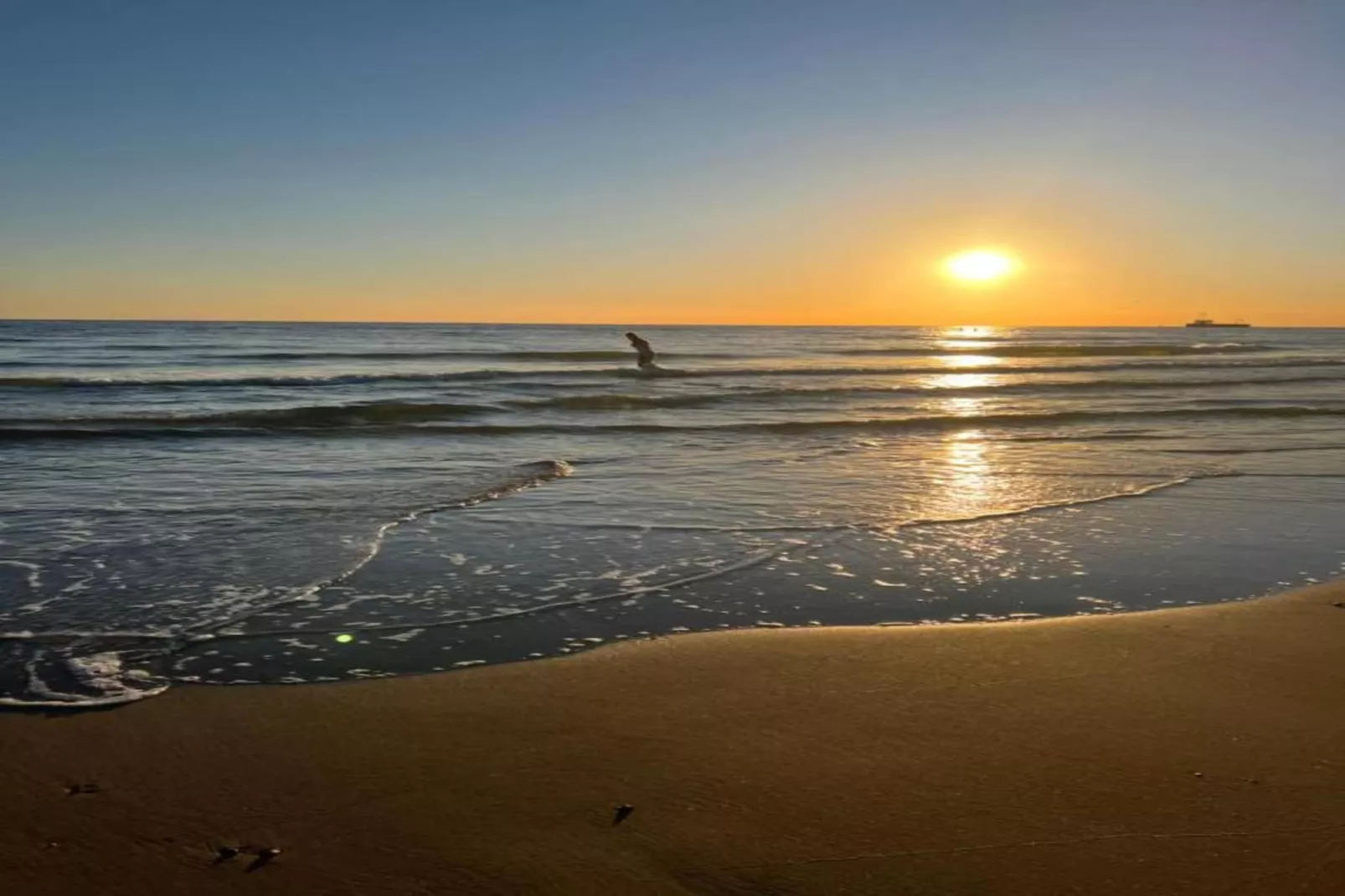 Noordzee Résidence Dishoek 4-Areas within 5km in summer