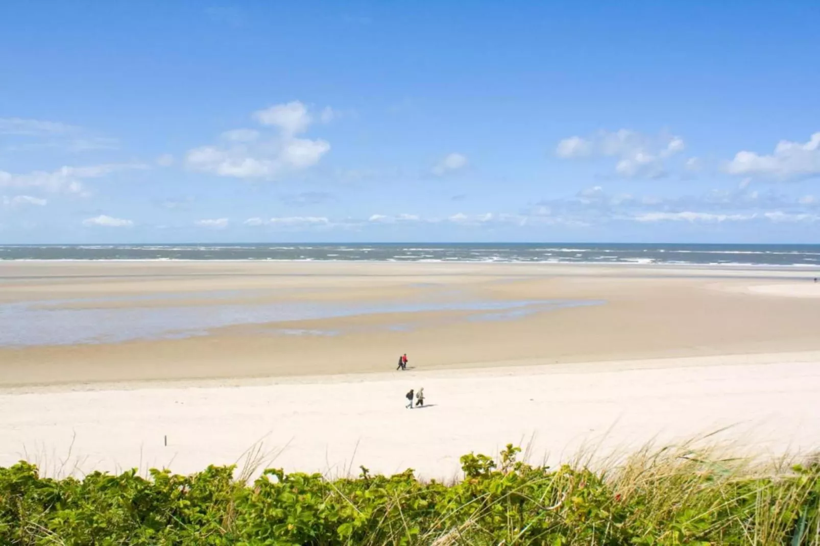 Noordzee Résidence De Banjaard 8-Areas summer 20km