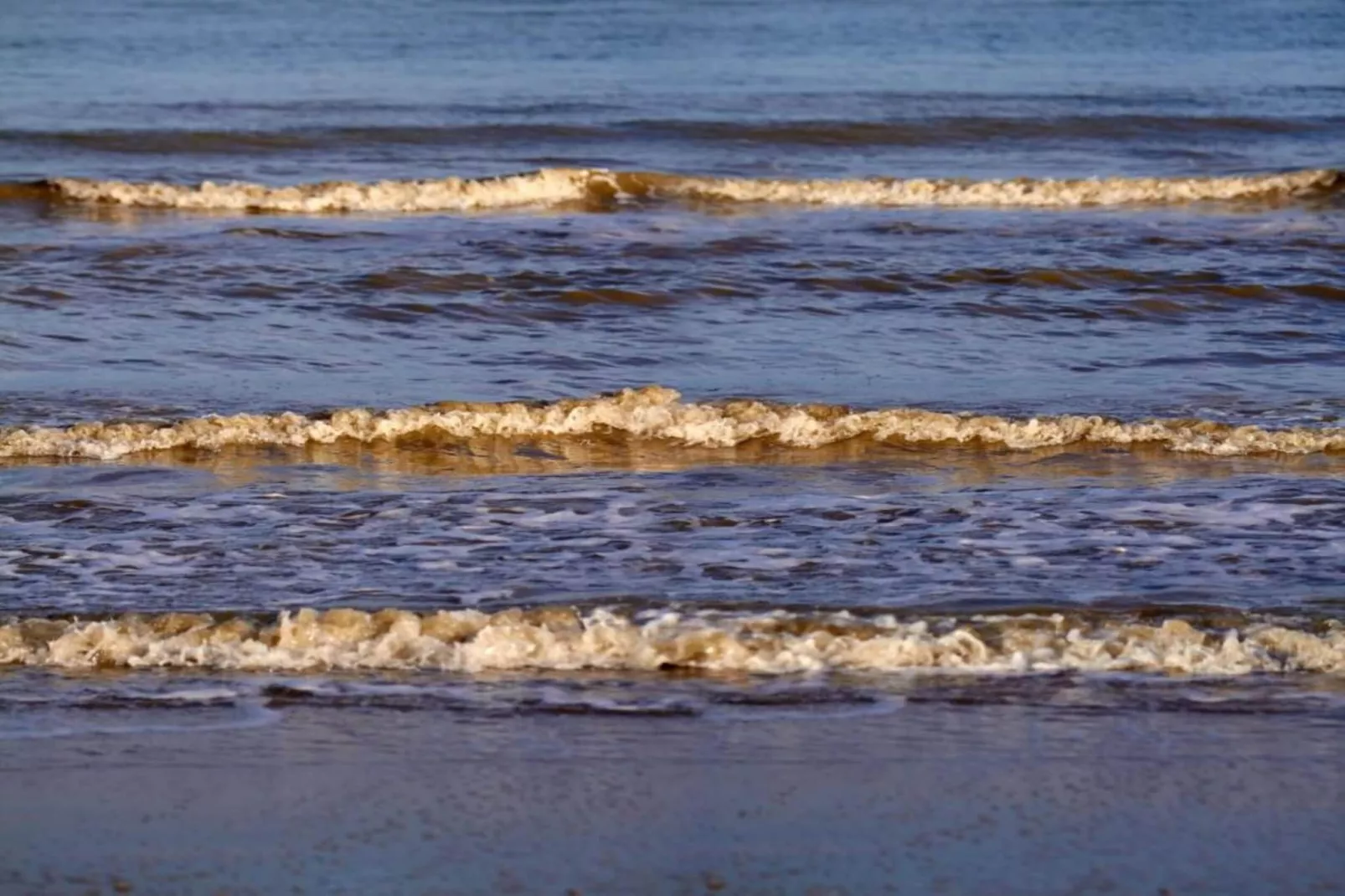 Groot Hof ter Zand-Areas within 20km in summer